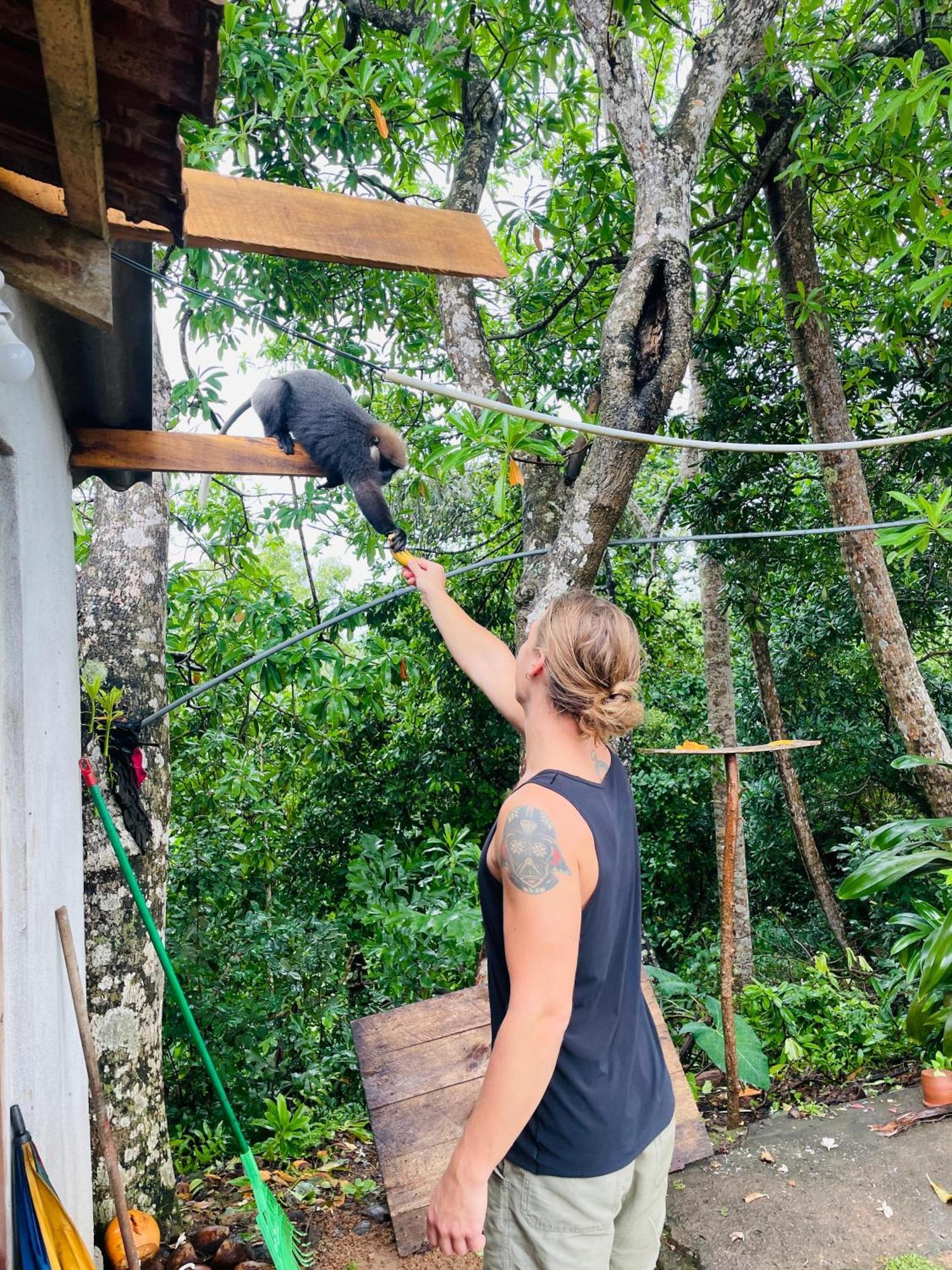 Sky Mountain Cafe With Seaview Bed and Breakfast Weligama Eksteriør billede