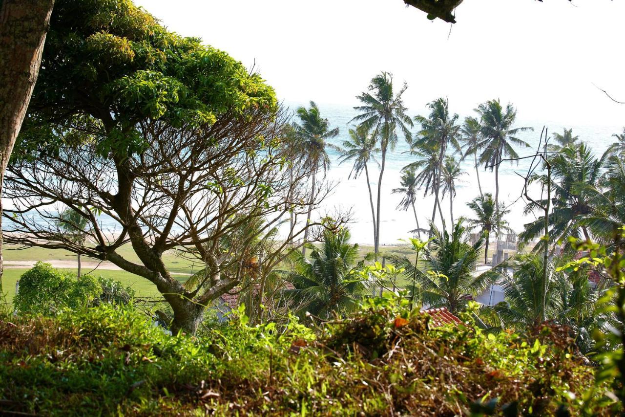 Sky Mountain Cafe With Seaview Bed and Breakfast Weligama Eksteriør billede