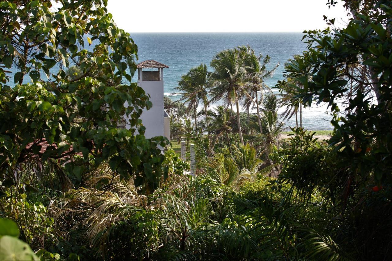 Sky Mountain Cafe With Seaview Bed and Breakfast Weligama Eksteriør billede